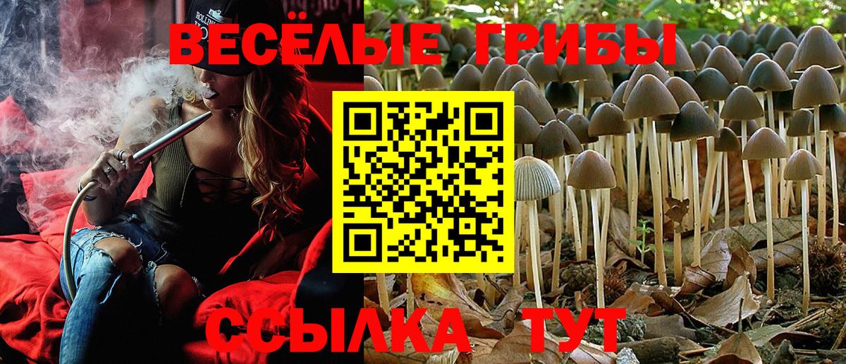 Псилоцибиновые грибы ЛСД Егорьевск